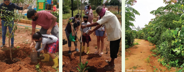 ENVIRONMENT DAY