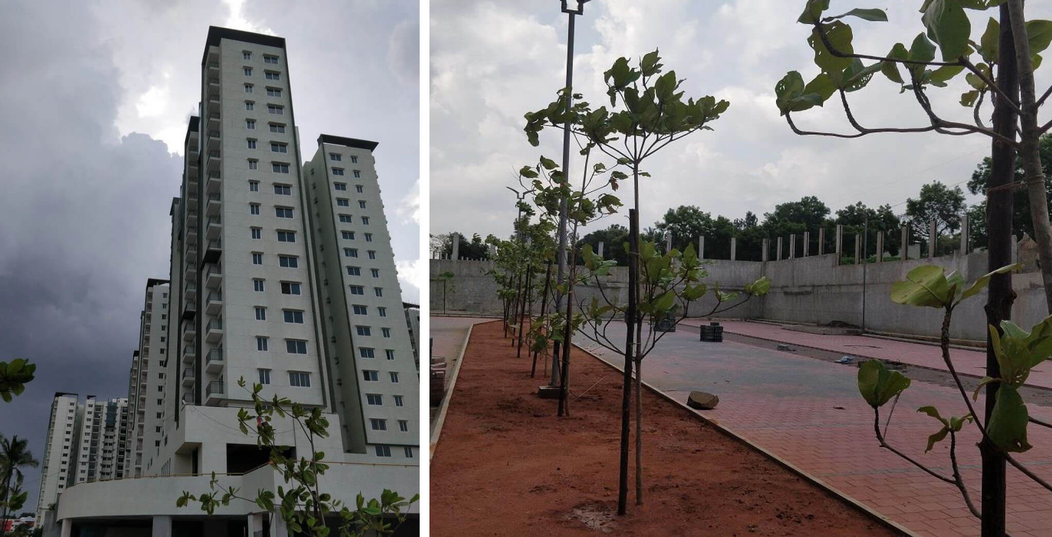 Jun 2018 - Tower D and Visitor car park area plantation