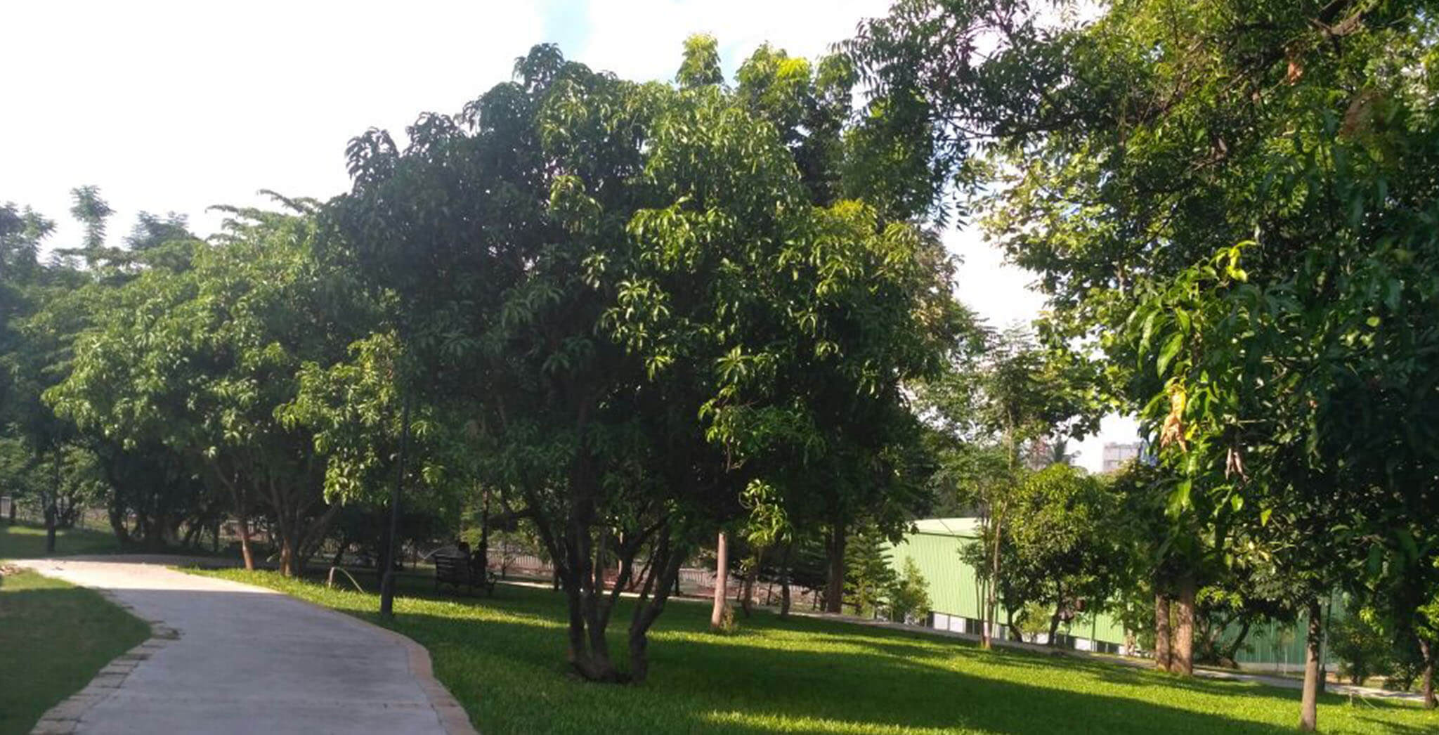 Nov 2018 - Greenery at Brigade Meadows