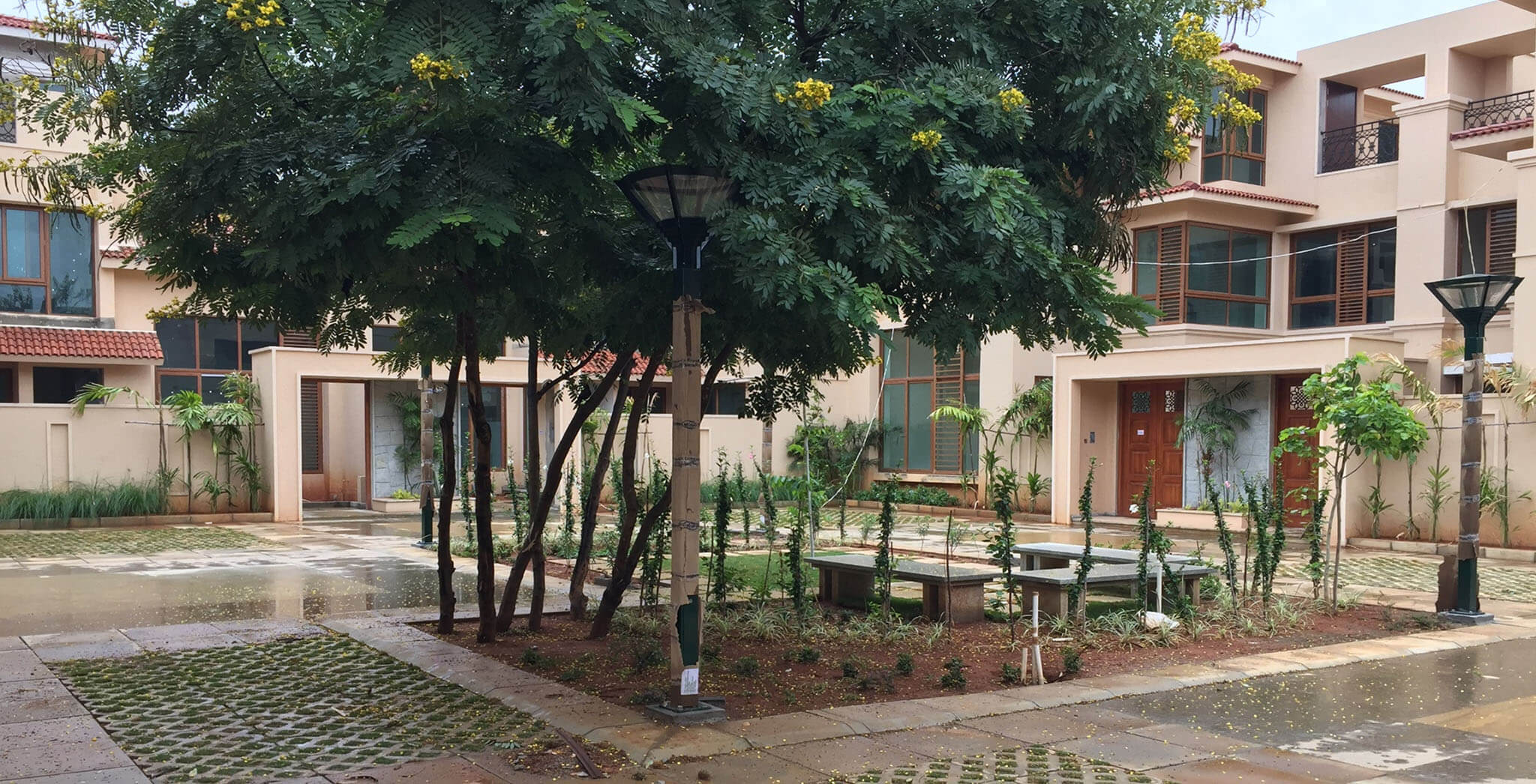Aug 2019 - B-Cluster: Landscaping work completed