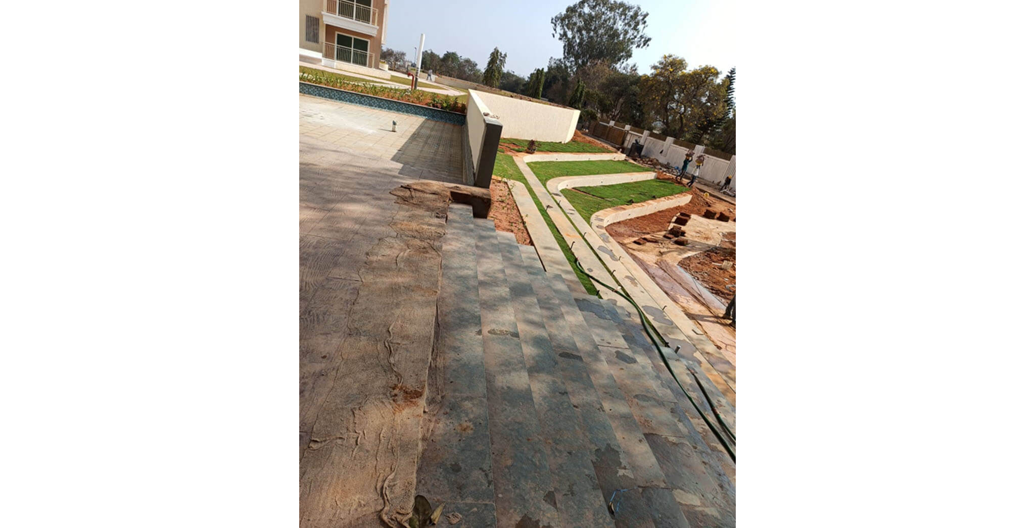 Feb 2020 - Landscape activities in Amphitheatre area