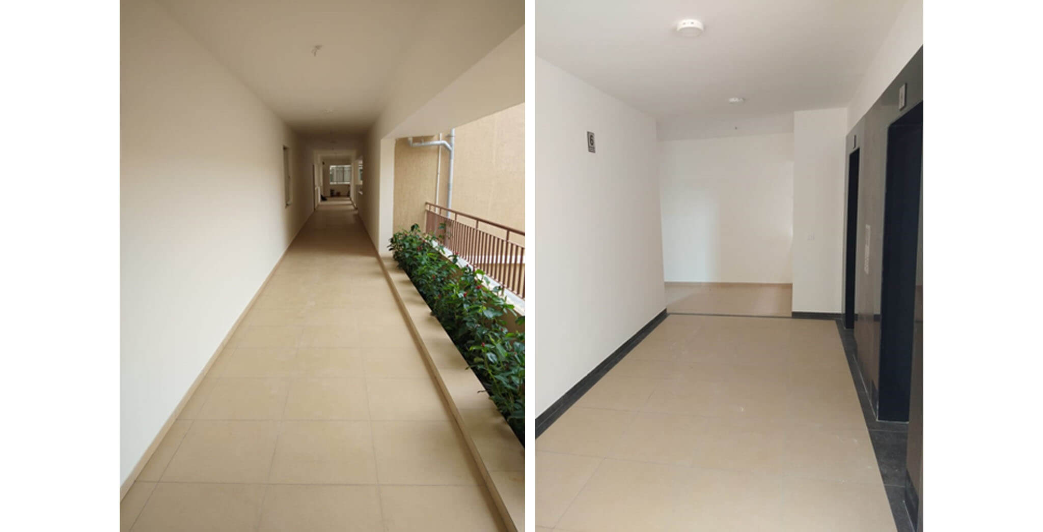 May 2020 - Deodar—D block: Corridor–Final coat painting in progress