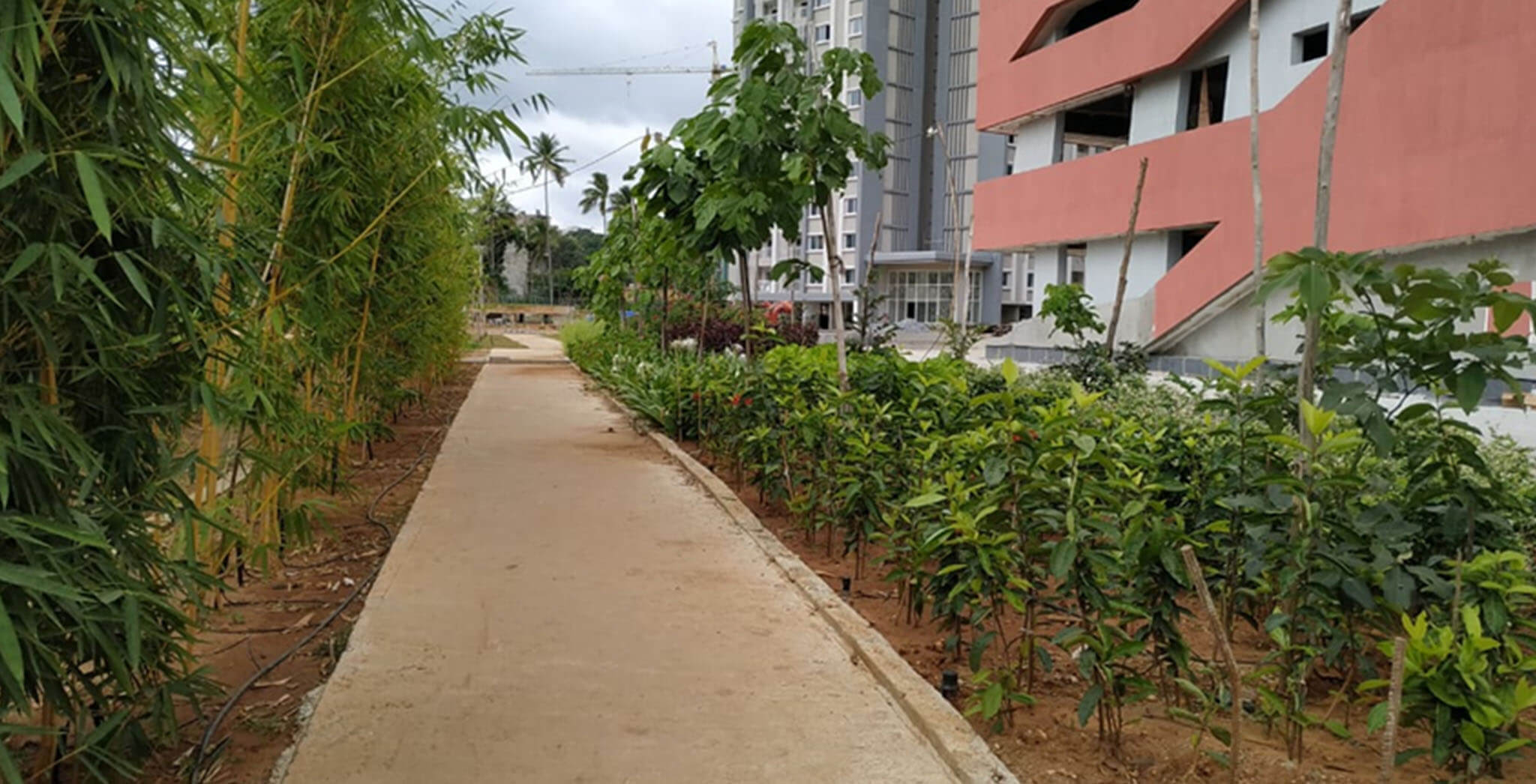 Jul 2020 - Entrance Landscaping in progress