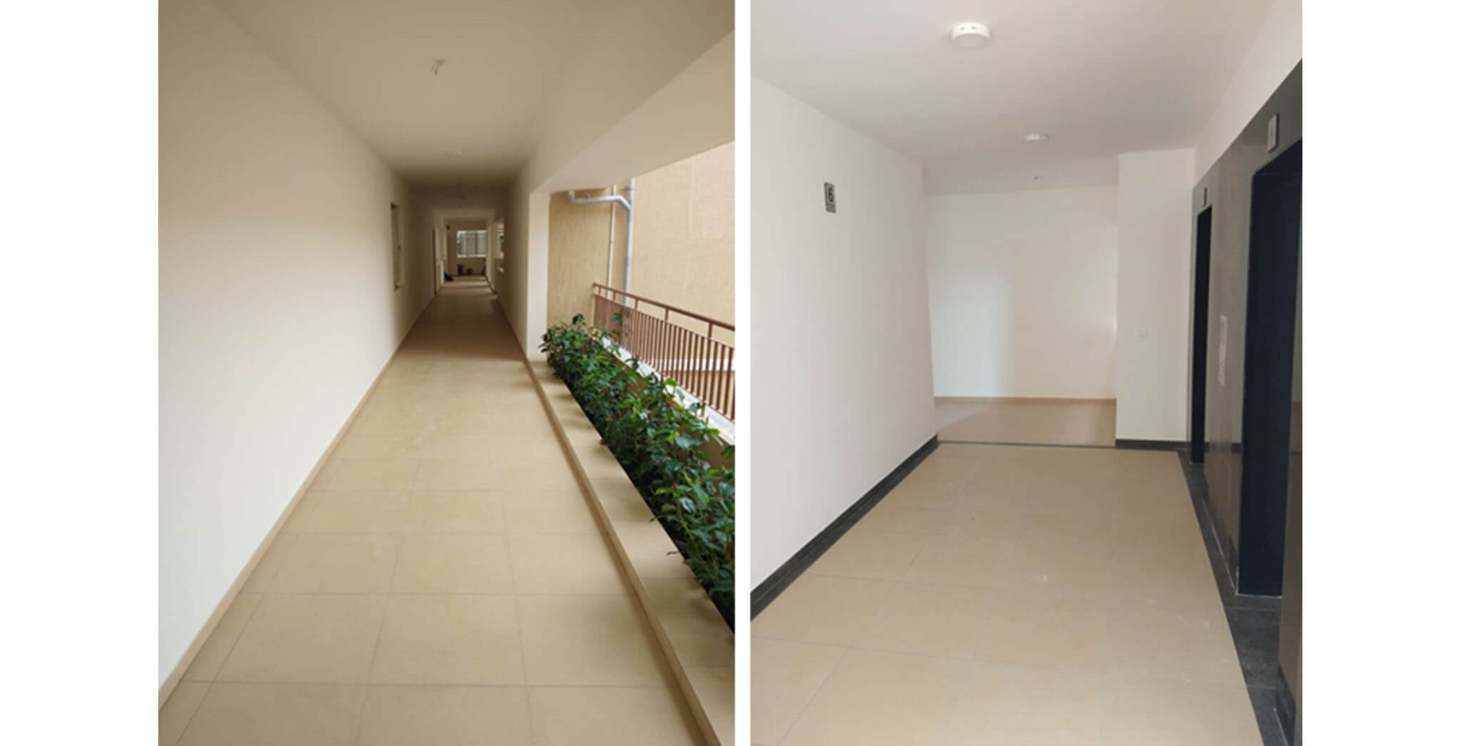 Jul 2020 - Deodar—Block D: Corridor—Final coat of painting in progress