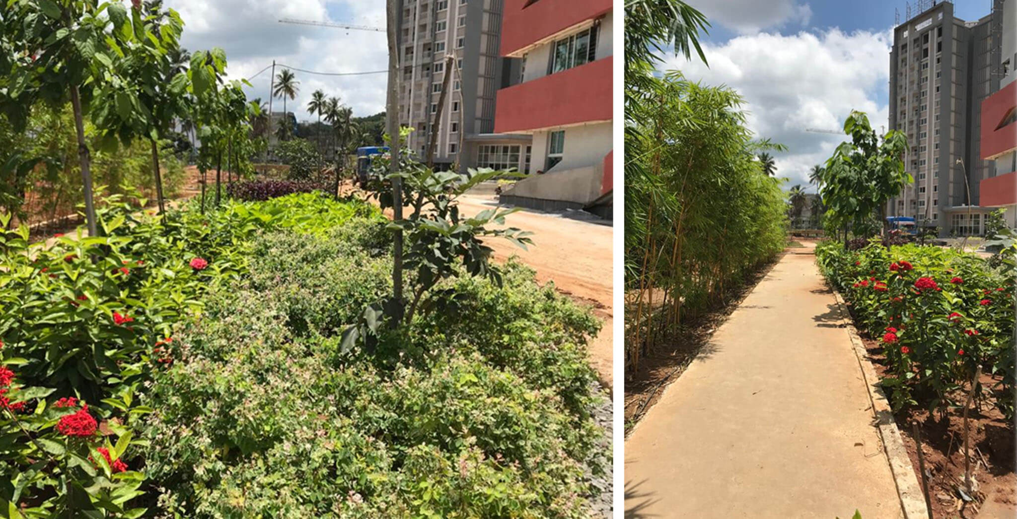 Oct 2020 - Entrance landscaping in progress