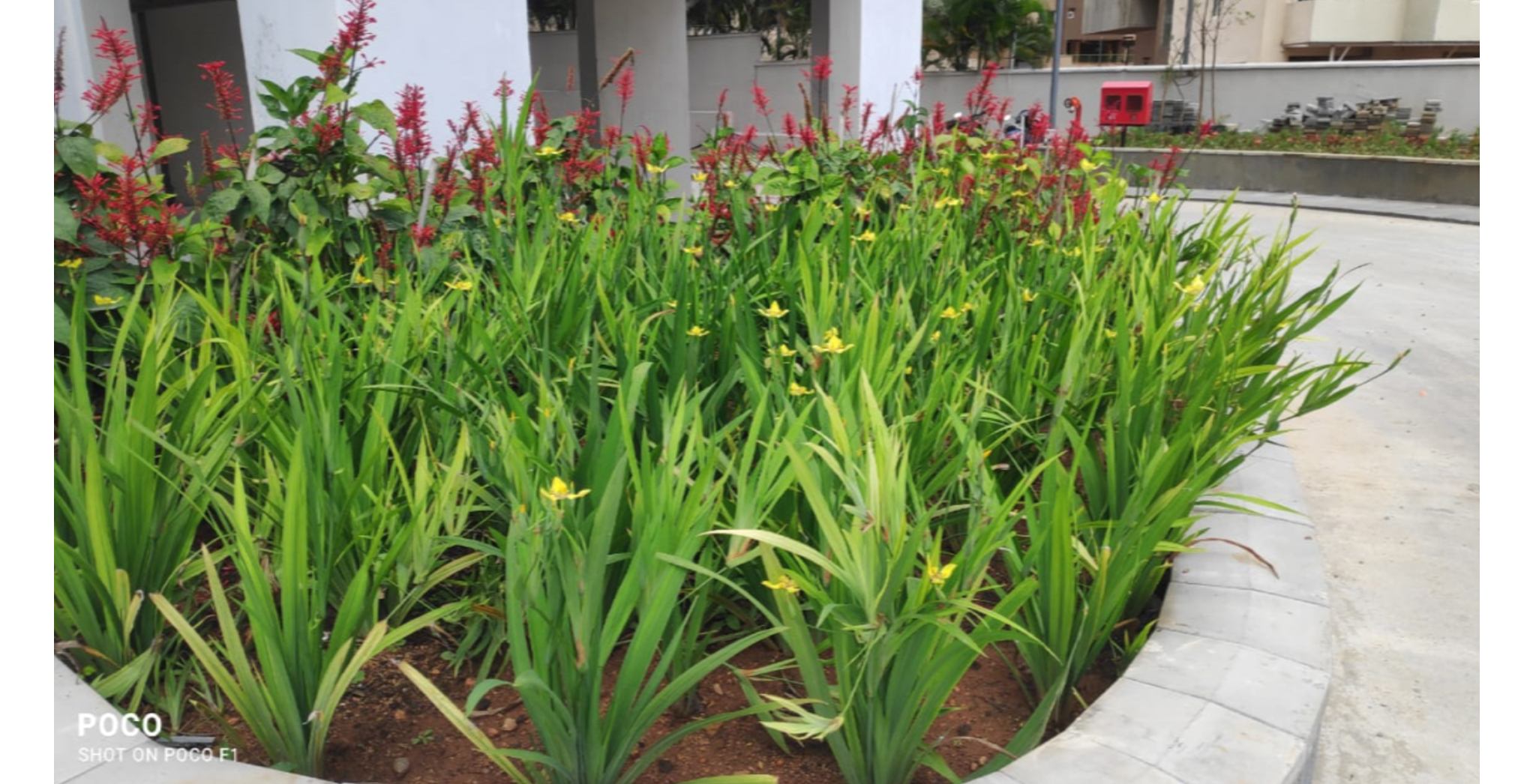 Aug 2021 - 7Gardens: one more view of the landscaping works near EFG Towers