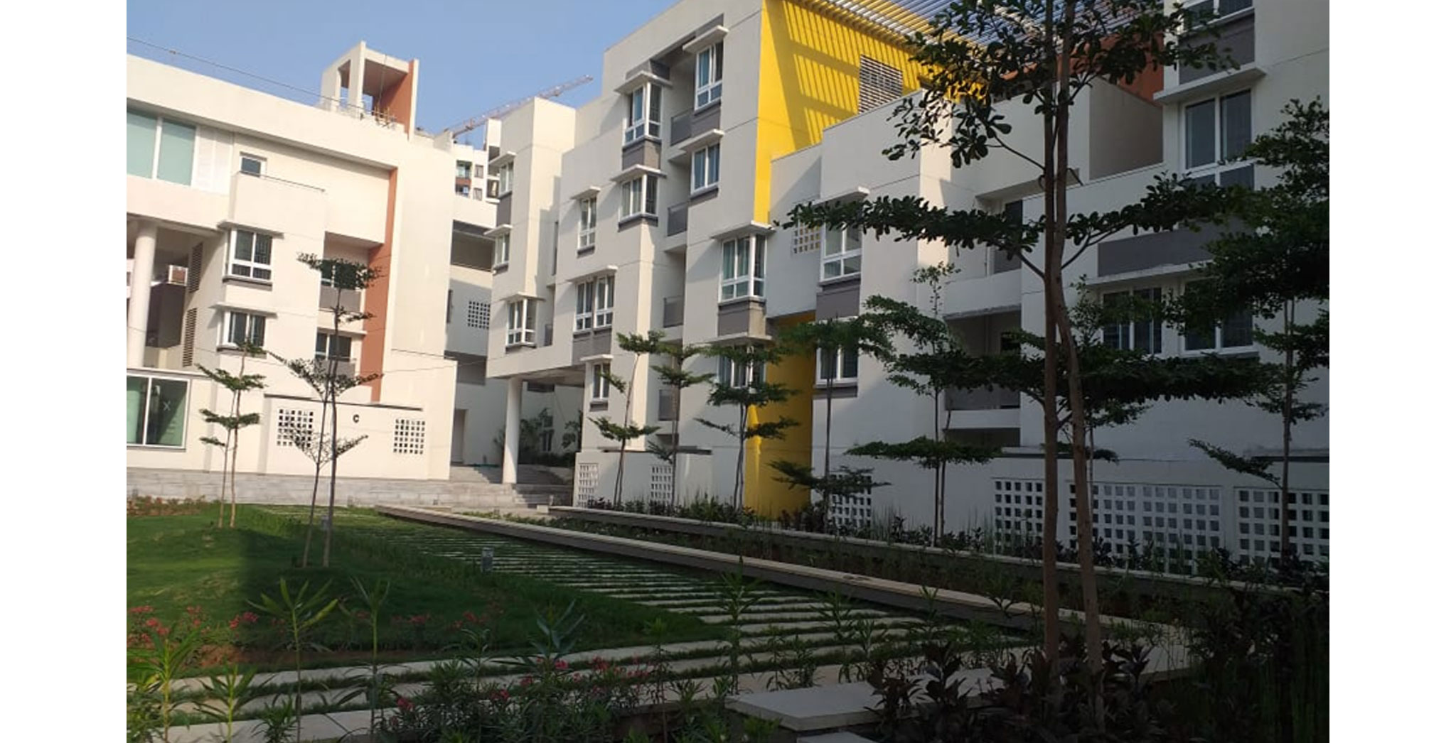 Jun 2022 - Festive Lawn area: Planting works completed