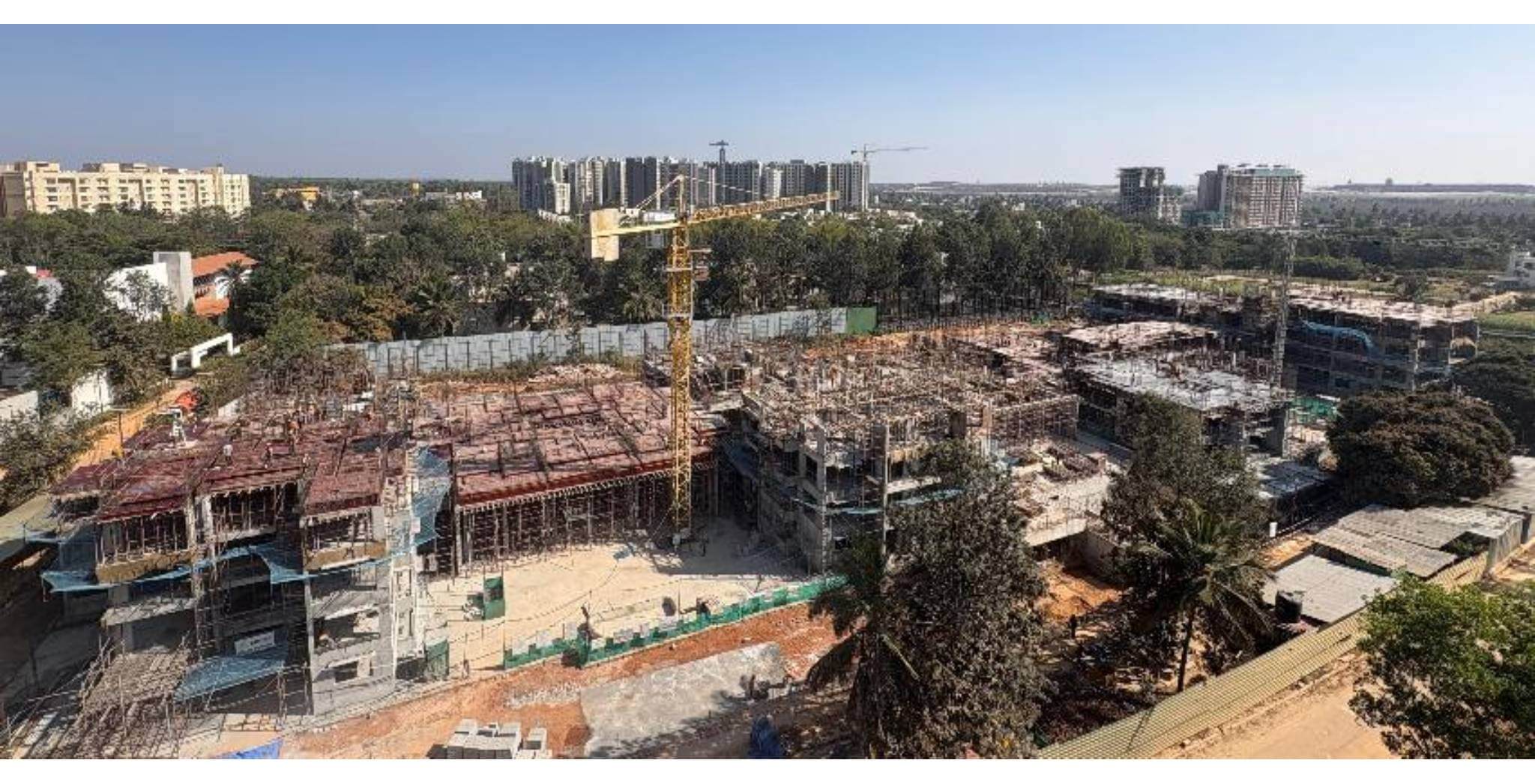 Jan 2026 - Brigade Orchards Ebony: Top View