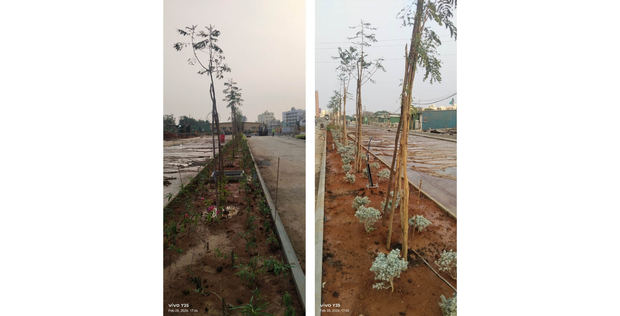 Brigade Valencia Brillio - CDP Road Planting - Feb 2026