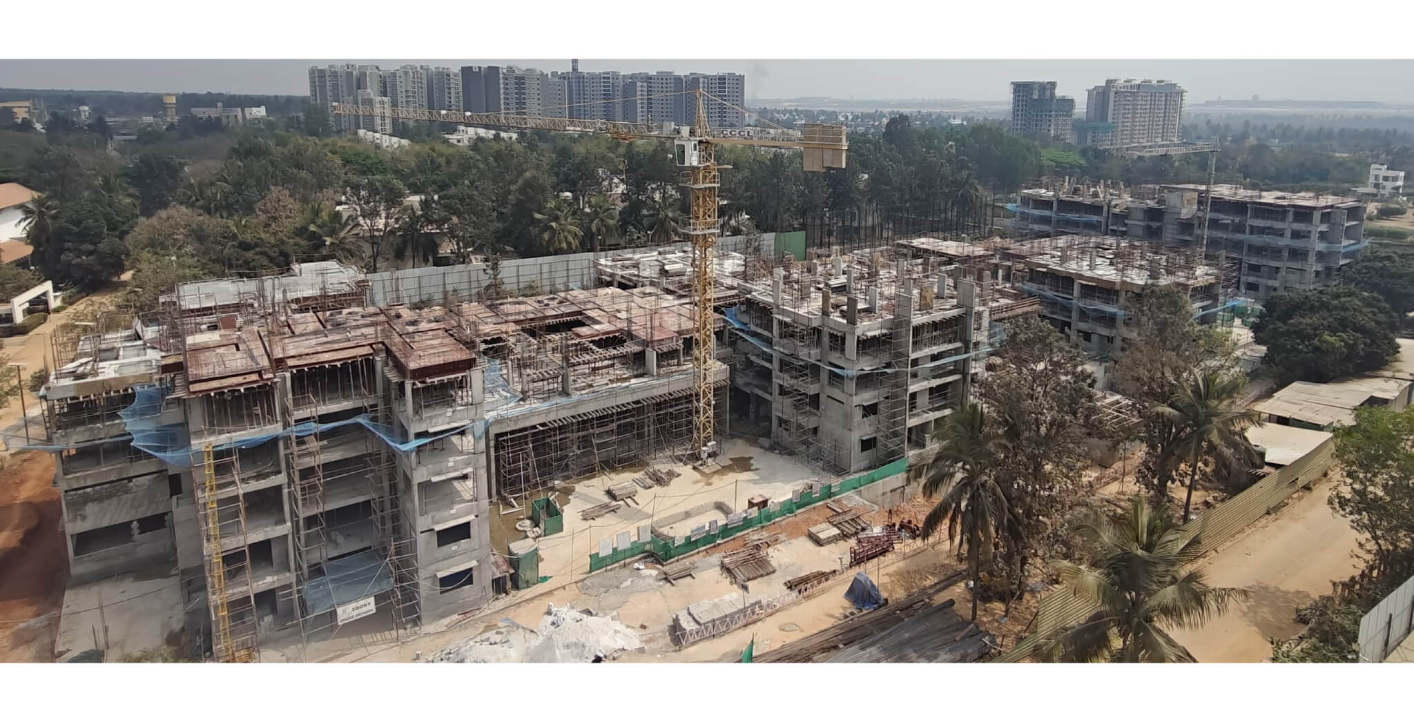 Feb 2026 - Brigade Orchards Ebony: Top View